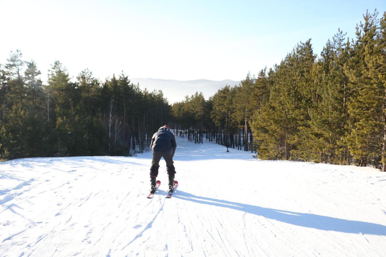 Orman Ski Shchuchinskiy المظهر الخارجي الصورة
